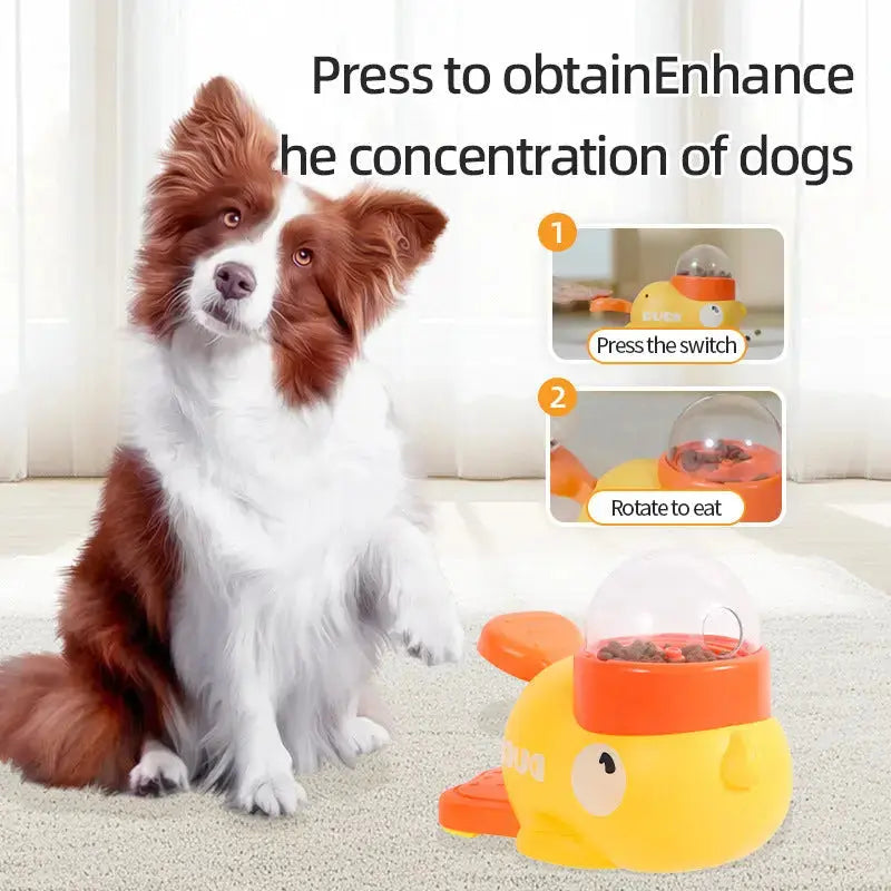Toys - JD Pet Boutique
