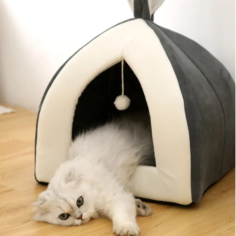Pet Waterloo JD Pet Boutique