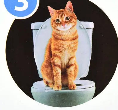 Pet Toilet Trainer catsCeaningTrainingToilet Supplies with Toilet Seat Lighting JD Pet Boutique