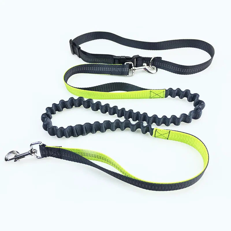 Pet Supplies Dog Running Pull Dog Leash 1