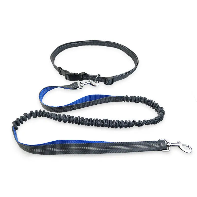 Pet Supplies Dog Running Pull Dog Leash 1