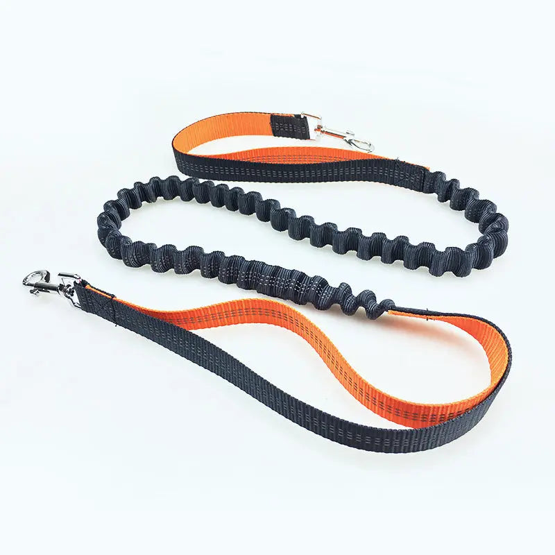 Pet Supplies Dog Running Pull Dog Leash 1