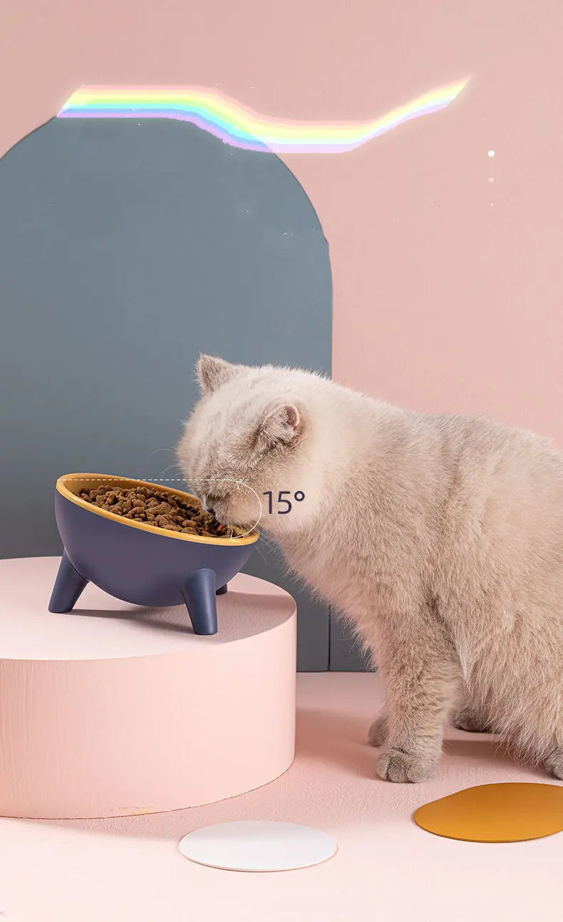 Cat Dog Bowl With Stand Pet Feeding Food Bowls Dogs Bunny Rabbit Nordic Color Feeder Product Supplies Pet Accessories JD Pet Boutique