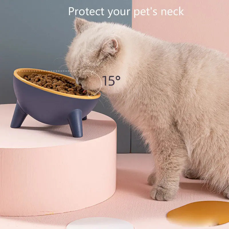 Cat Dog Bowl With Stand Pet Feeding Food Bowls Dogs Bunny Rabbit Nordic Color Feeder Product Supplies Pet Accessories JD Pet Boutique