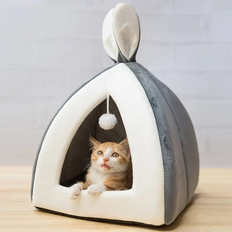 Pet Waterloo JD Pet Boutique