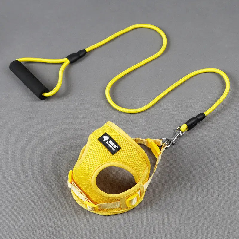 Dog leash dog leash dog collar JD Pet Boutique