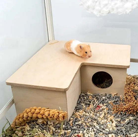 Hamster Multi-Room JD Pet Boutique