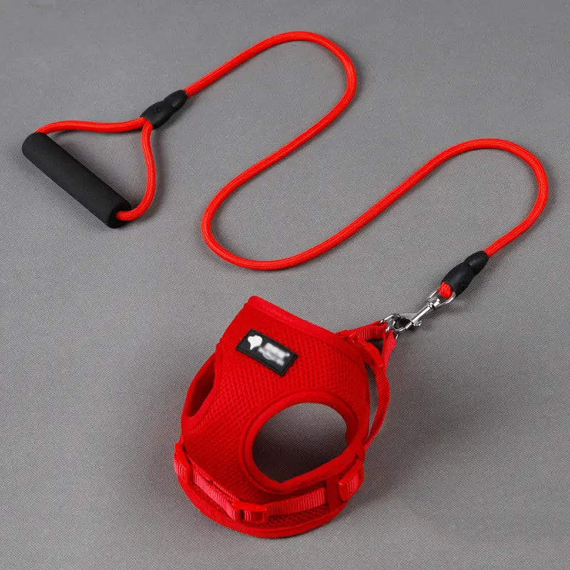 Dog leash dog leash dog collar JD Pet Boutique