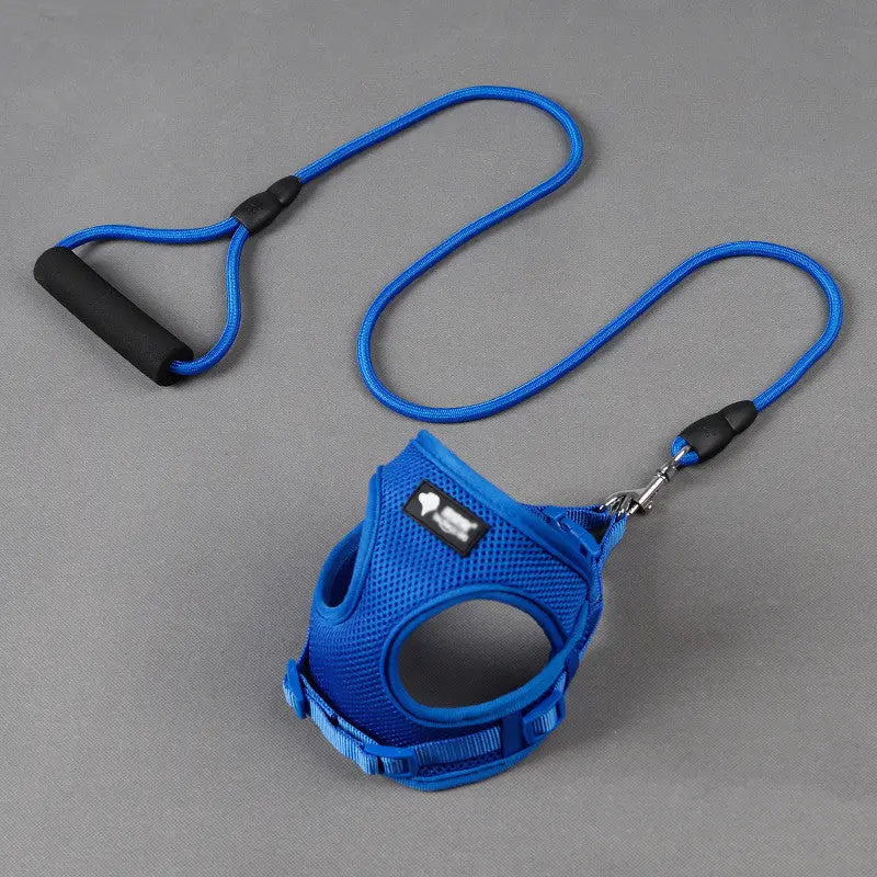 Dog leash dog leash dog collar JD Pet Boutique