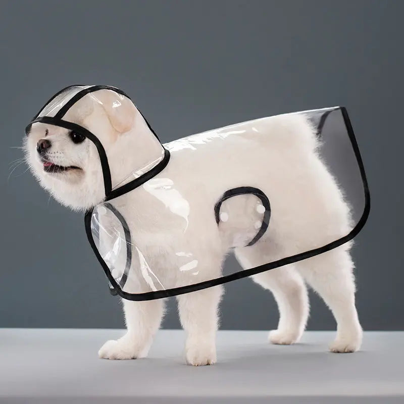 Pet Supplies Dog Transparent Plastic Raincoat 1