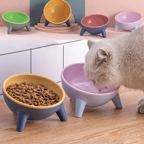 Cat Dog Bowl With Stand Pet Feeding Food Bowls Dogs Bunny Rabbit Nordic Color Feeder Product Supplies Pet Accessories JD Pet Boutique