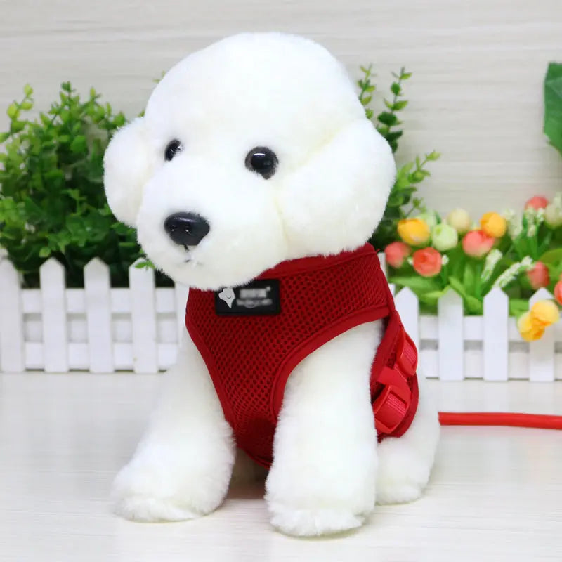 Dog leash dog leash dog collar JD Pet Boutique