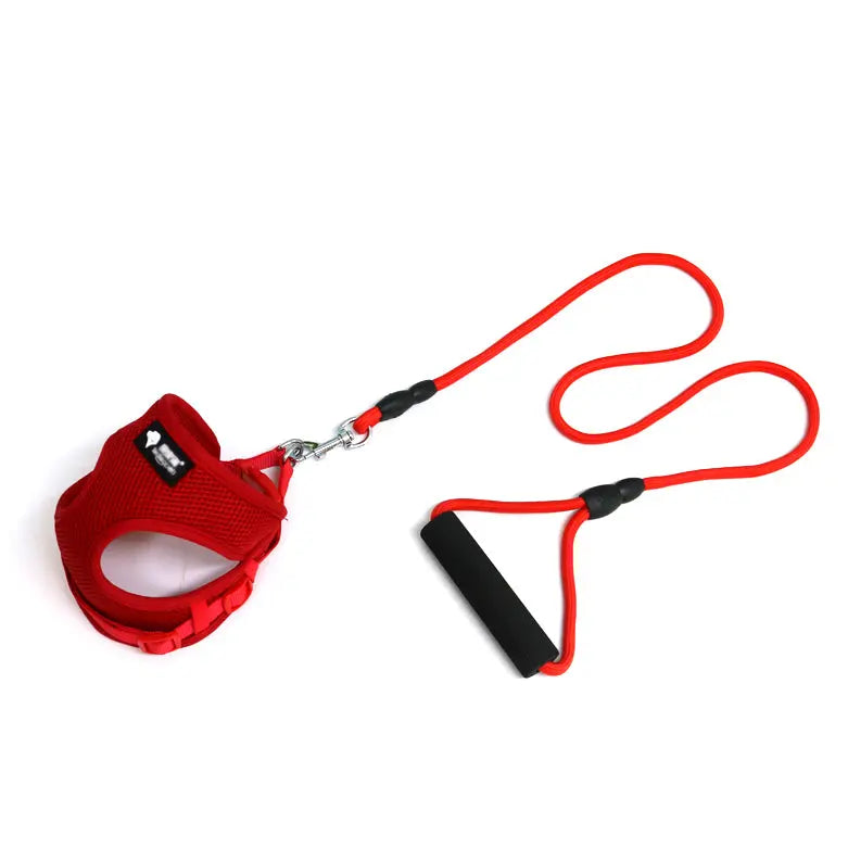 Dog leash dog leash dog collar JD Pet Boutique