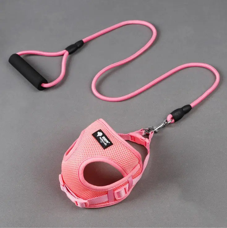 Dog leash dog leash dog collar JD Pet Boutique