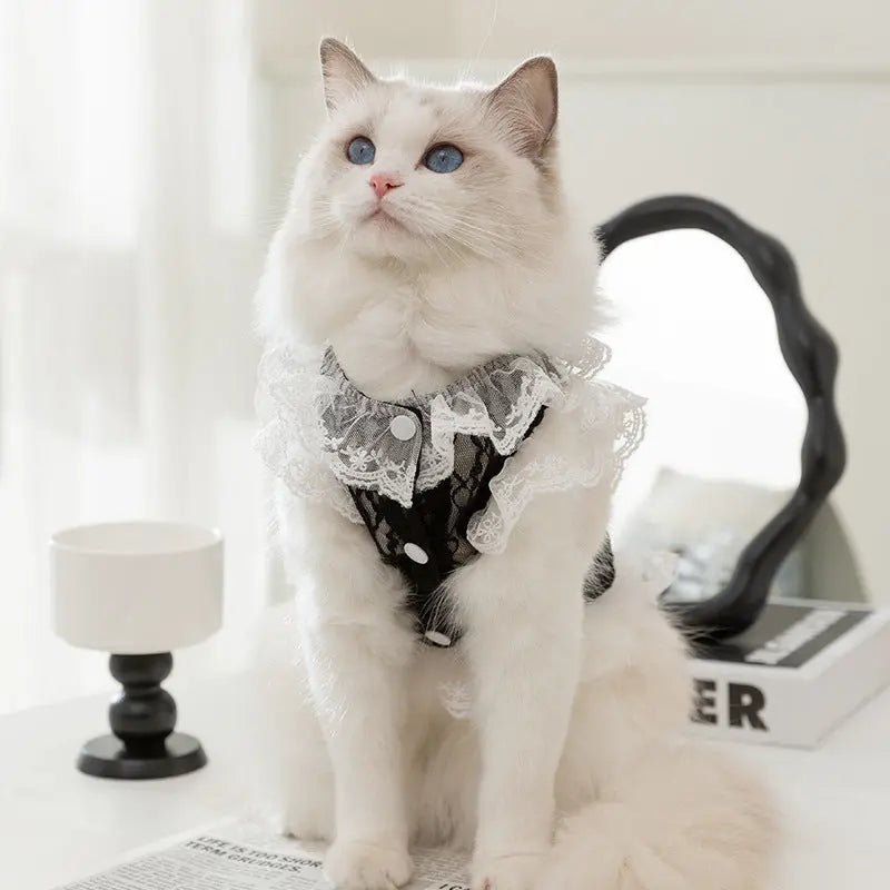 Cat Clothes Lace Traction Vest Puppy Kittens Thin Pet Cat Clothing JD Pet Boutique