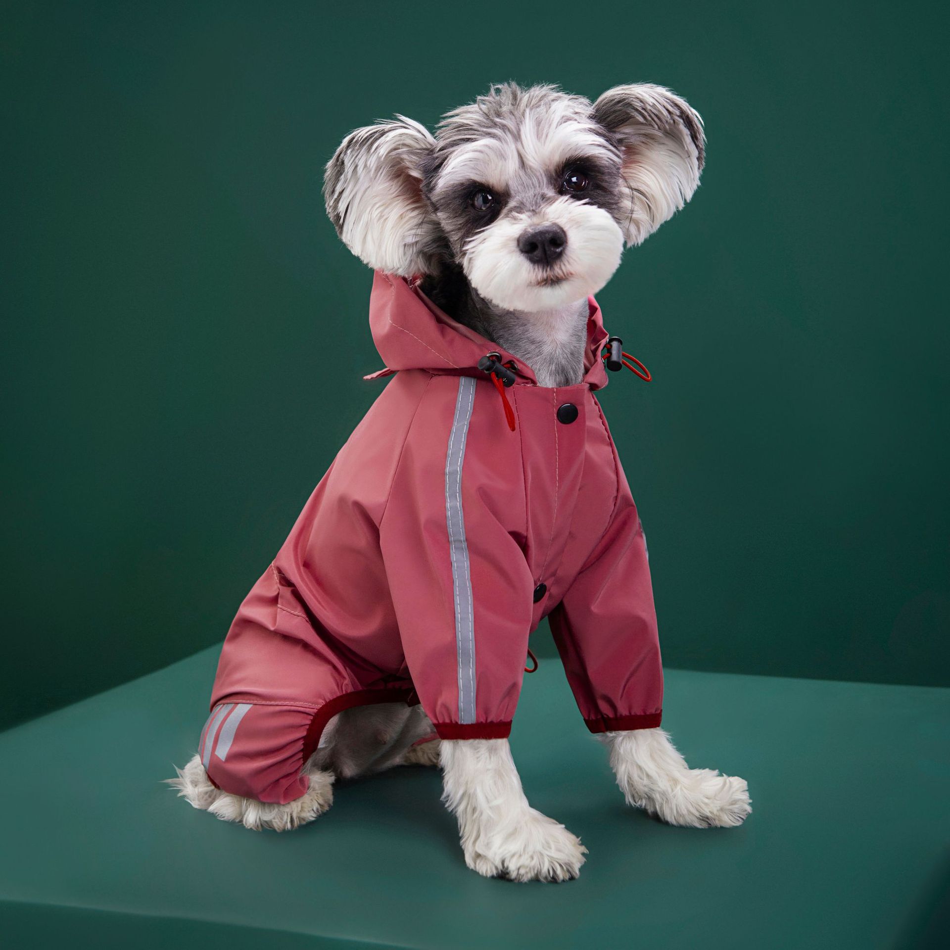 Pet Supplies Dog All-inclusive Four-legged Waterproof Raincoat