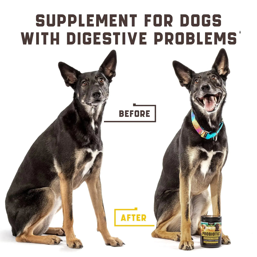 NO AMAZON Probiotics For Dogs Support Gut Health Itchy Skin Allergies Yeast Balance Immunity Probiotics And Digestive Enzymes For Small Medium And Large Dogs 180 Probiotic Chews For Dogs Duck Flavor 1