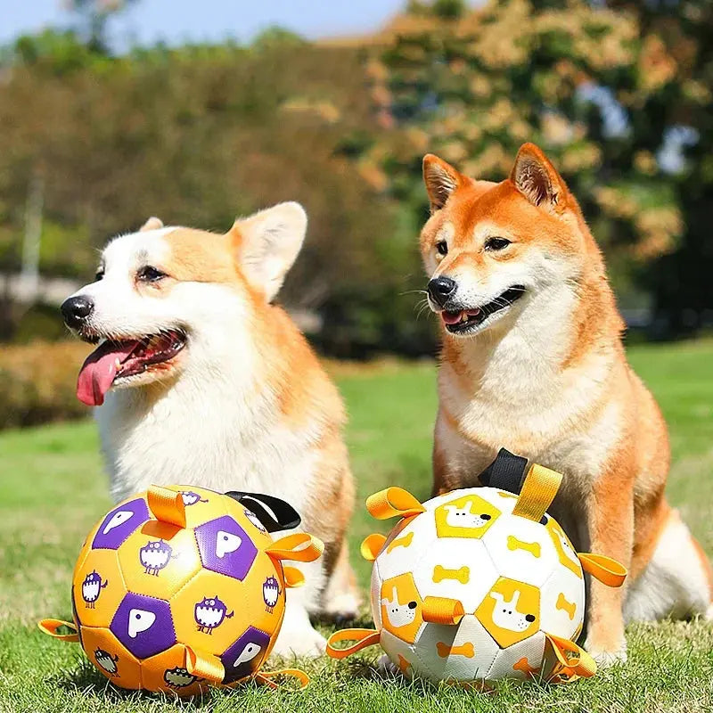 Dog Interactive Football Toys Children Soccer Dog Outdoor Training Balls Pet Sporty Bite Chew Teething Ball With Cute Printing JD Pet Boutique
