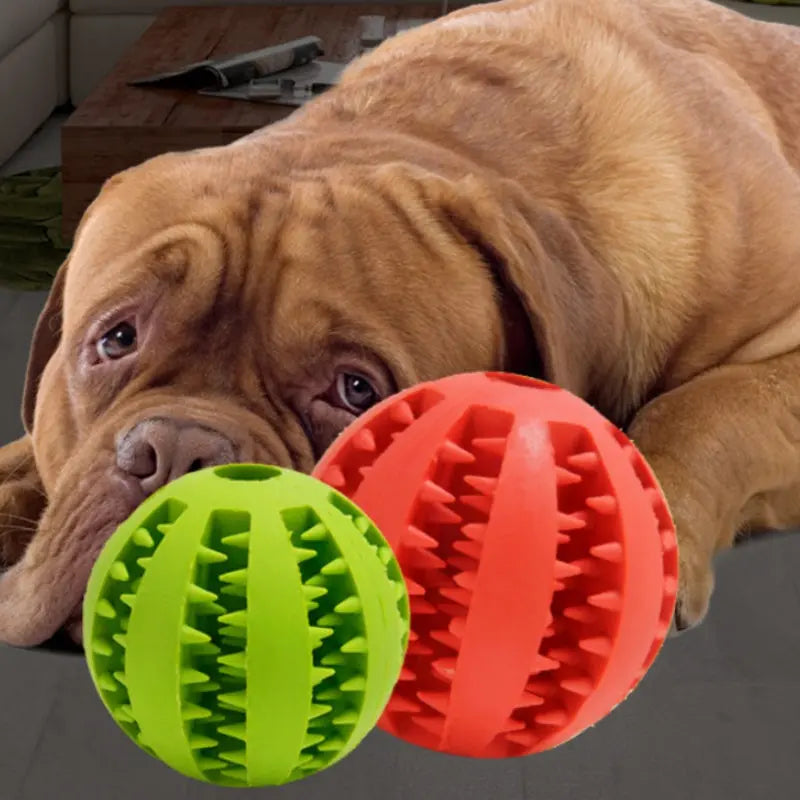 Pet Dog Toy Bite Resistant Molar Stick Puppy Ball 1