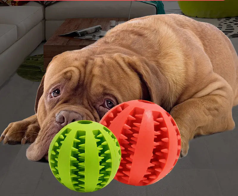 Pet Dog Toy Bite Resistant Molar Stick Puppy Ball 1