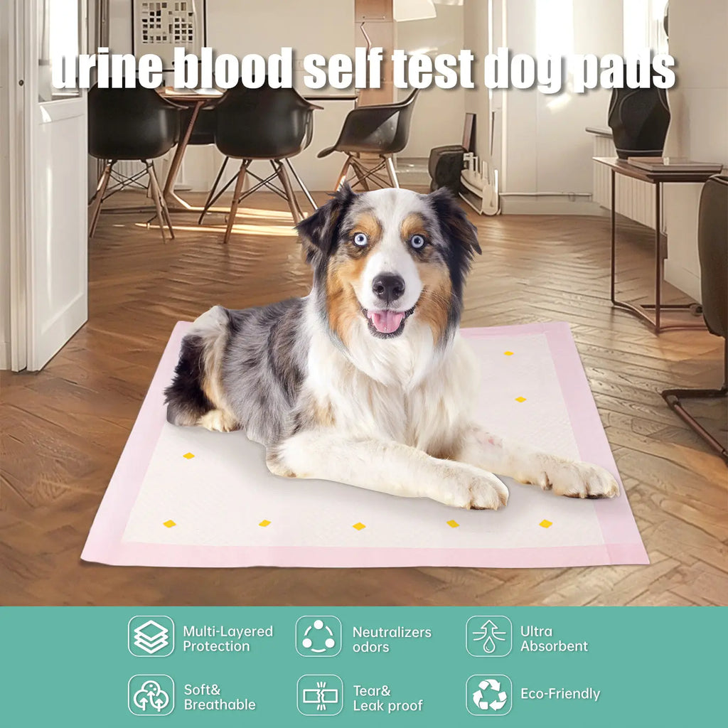 Dog Detection Urine Pad 1