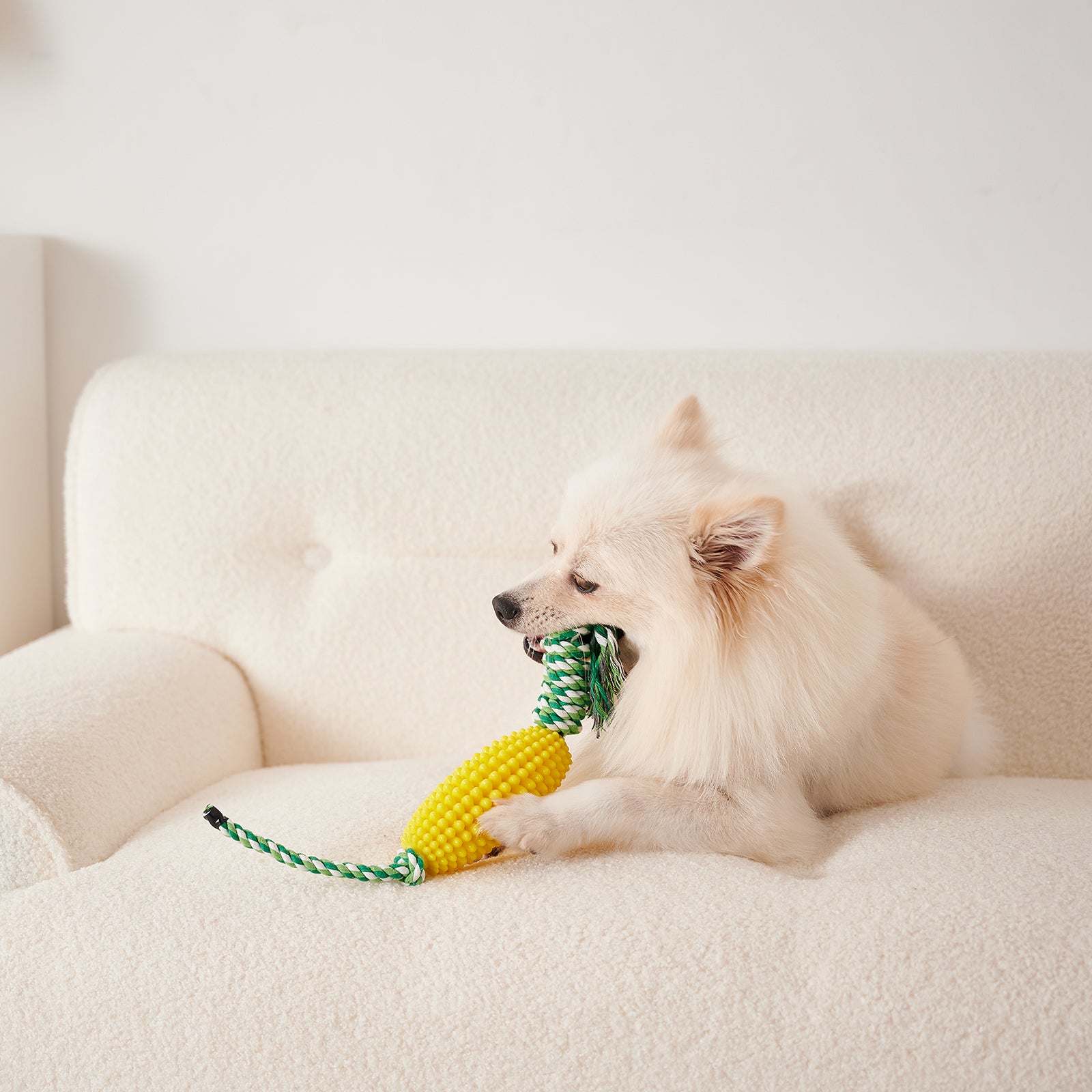 Puppy Toothbrush Clean Teeth Interactive Corn Toys Dog Toys Aggressive Chewers Dog Chew Toys