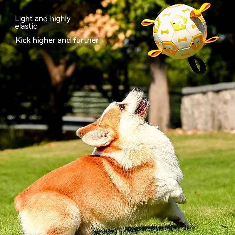 Dog Interactive Football Toys Children Soccer Dog Outdoor Training Balls Pet Sporty Bite Chew Teething Ball With Cute Printing JD Pet Boutique