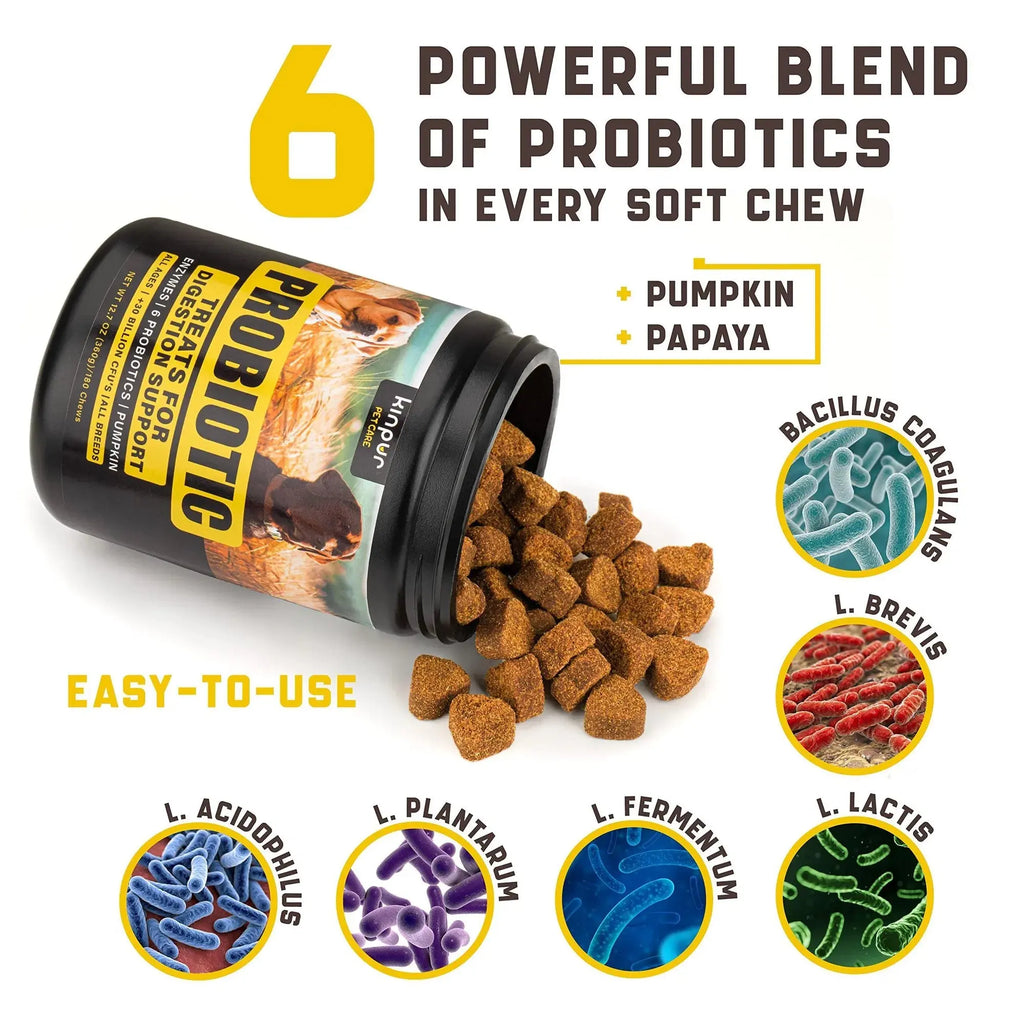NO AMAZON Probiotics For Dogs Support Gut Health Itchy Skin Allergies Yeast Balance Immunity Probiotics And Digestive Enzymes For Small Medium And Large Dogs 180 Probiotic Chews For Dogs Duck Flavor 1
